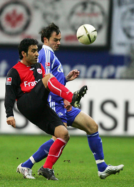 似乎不是太 似乎不是太