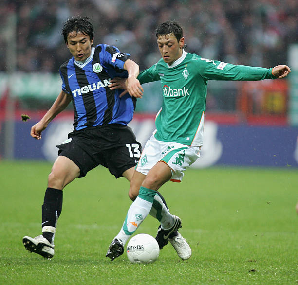 他们采用了 他们采用了